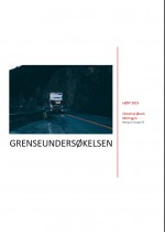 YTF-rapport: Grenseundersøkelsen 2019